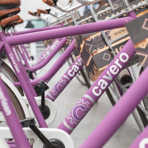 Fietsen Cavero 2 480X480 Fietsen Cavero 2 480X480